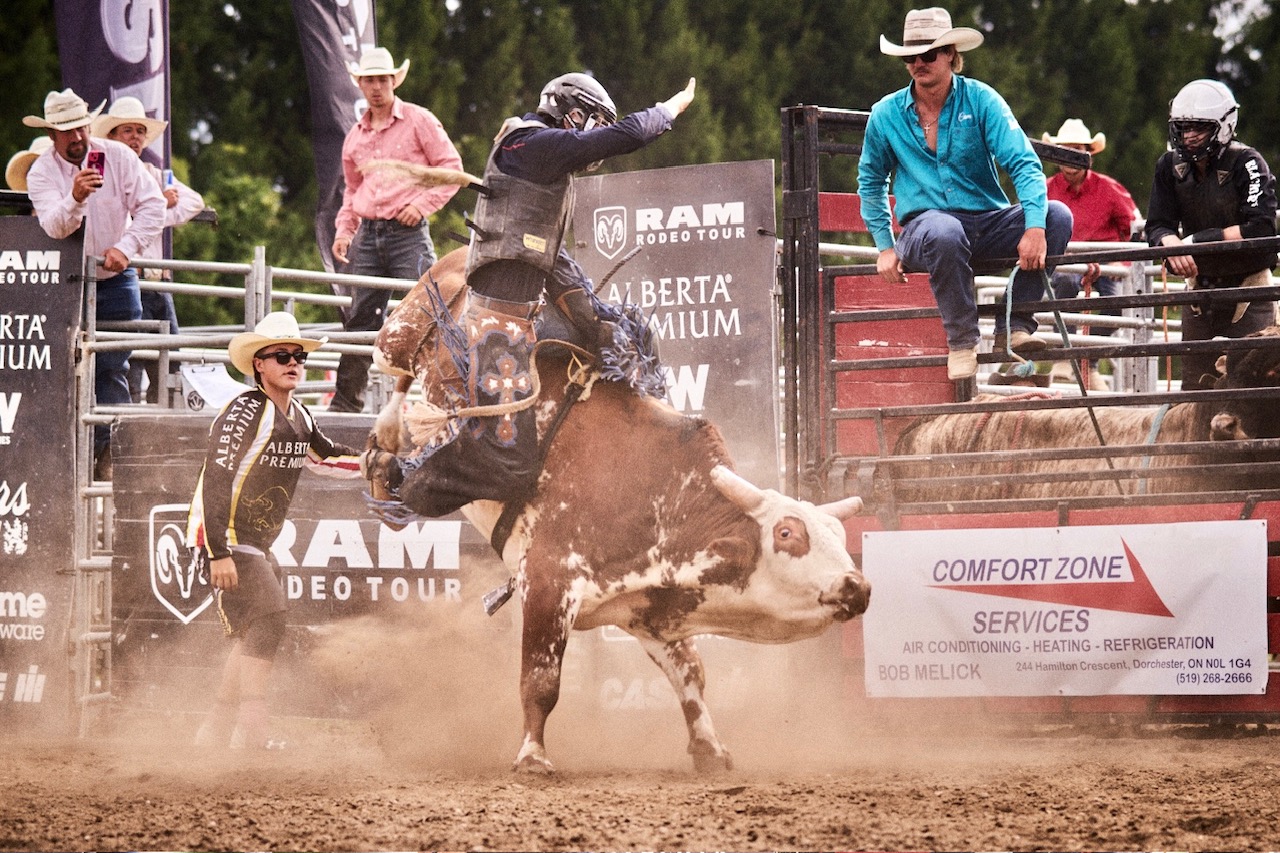 Bull rider at the Purple Hill Ram Rodeo Tour in London, Ontario