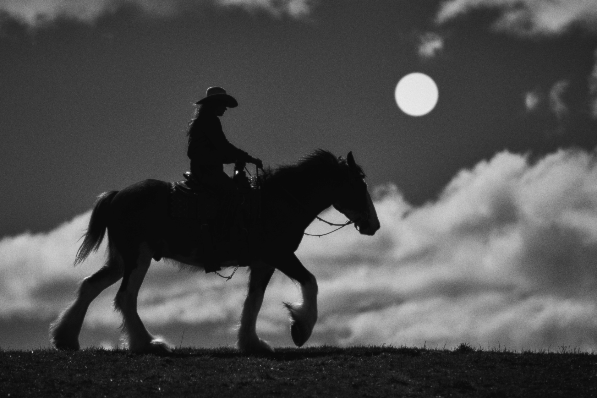 Clydesdale Trainer Claire Gregg riding into a moonset.
