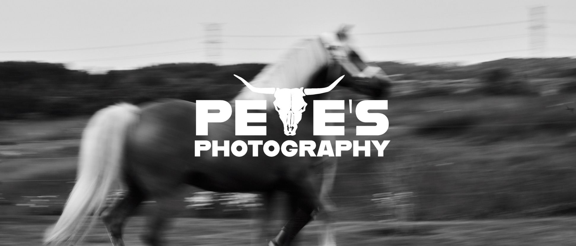 Pete's Photography - Equine Cattle Sorting Photographer - Ontario Canada
